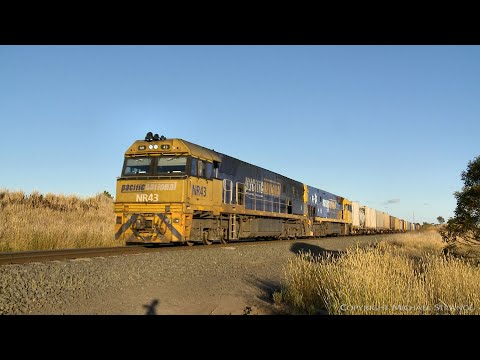 Pacific National 2MA5 Container Train - PoathTV Australian Railways