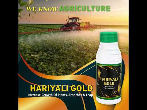 Potassium Pgr Hariyali Gold
