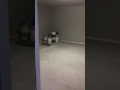 IMG 2460
