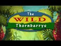 THE WILD THORNBERRY S Main Theme By Drew Neumann Nickelodeon