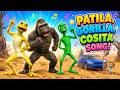 Patila Dame Tu Cosita Gorilla S Epic Singing And Dance Party ViralShowdown