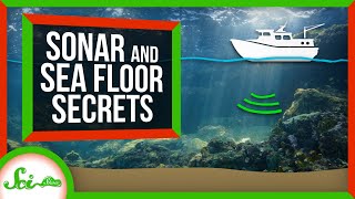 The Scientist Who Mapped the Seafloor: Marie Tharp | Great Minds