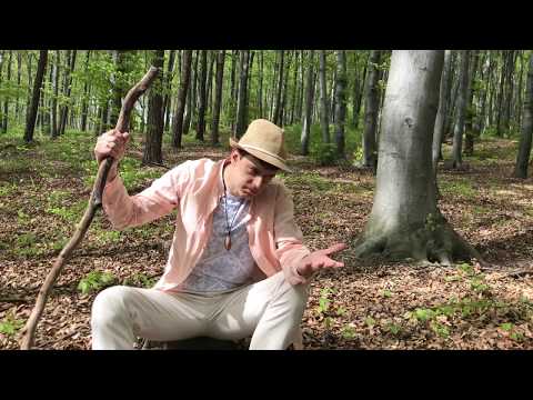 Sprawa w toku, co to znaczy