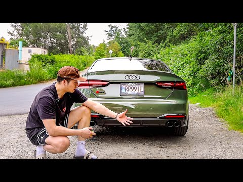 First mods done to my Audi S5 (H&R Sport Springs, Spacers), is it worth it?