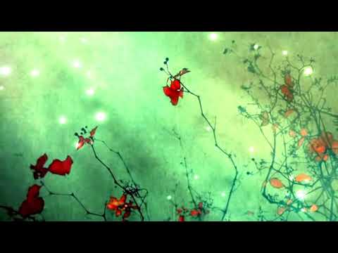 Melih Kibar - Sucu Çocuk