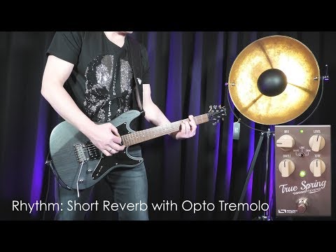 Source Audio Series One True Spring Reverb - Demo