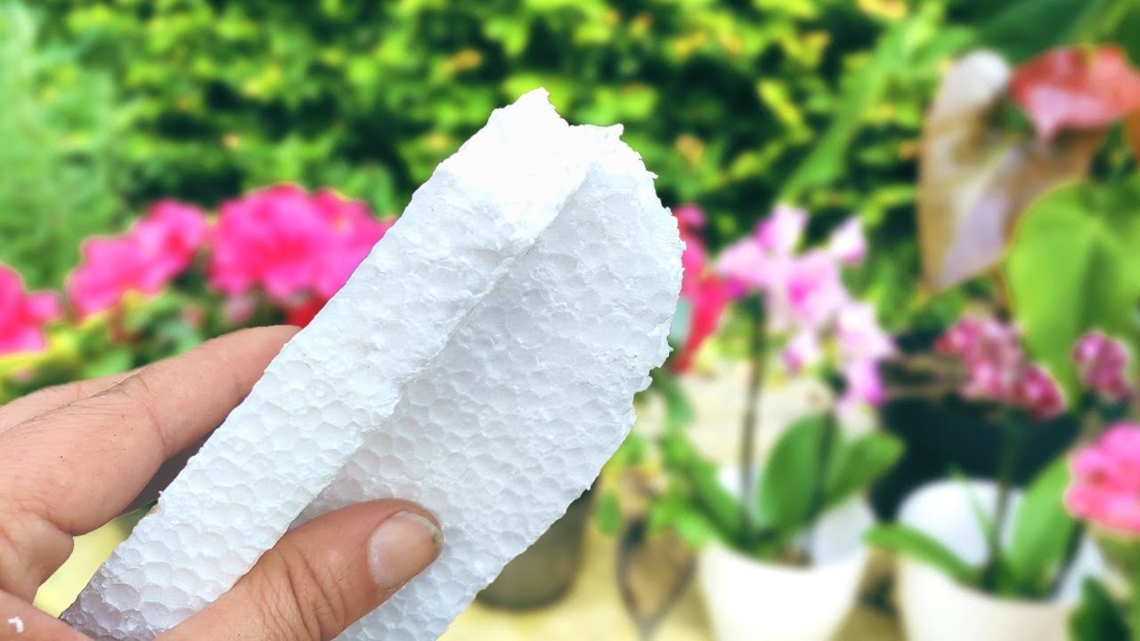 Just 1 styrofoam makes so many flowers burst (Did you know that?)