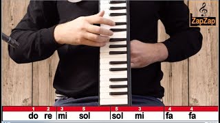 Asa Branca Escaleta Notas