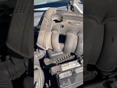 Valve Cover Gasket