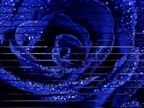 GULAMIN/OZAN DİYAR U DENİZ DEMAN/MaVimiLiTaN dENiZ.divx