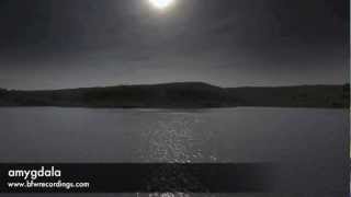 Amygdala - Mu cephei