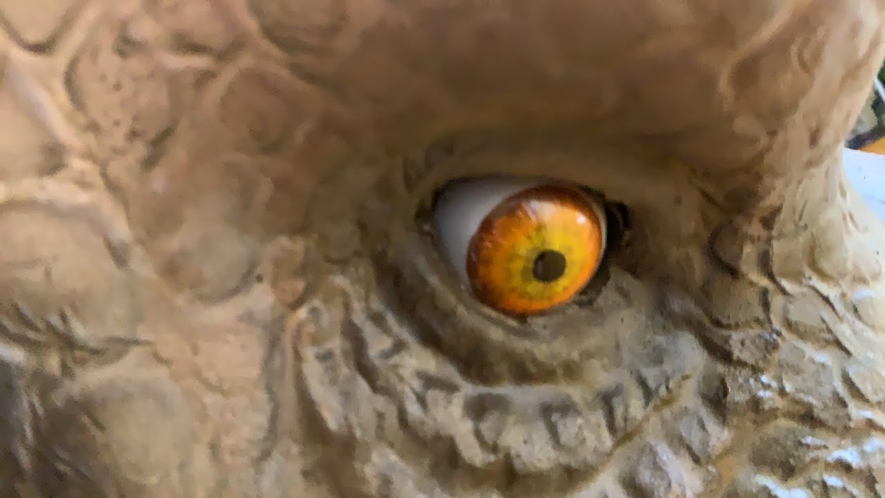 ジュラシックショーin鹿児島