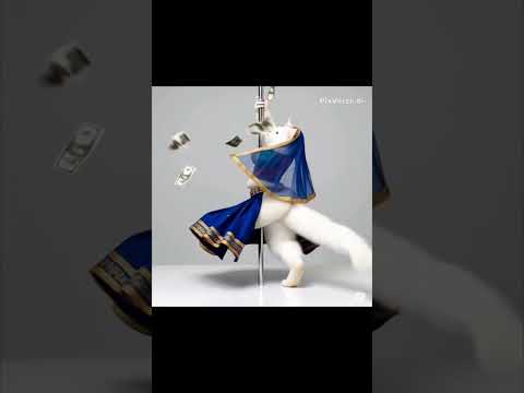 A crazy cat dancing#cat #cutecat #funny #crazyanimal