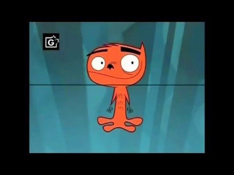 Трейлер