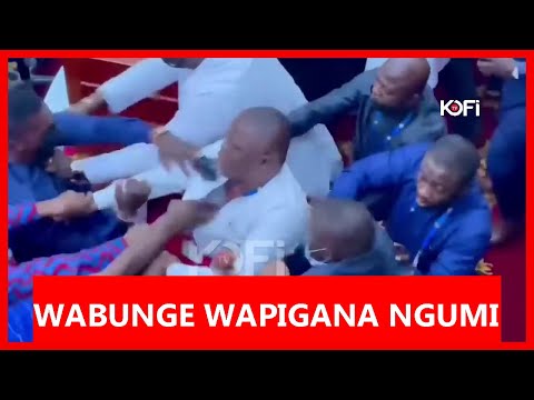 WABUNGE WA NCHINI GHANA WAPIGANA NGUMI NZITO NZITO NDANI YA UKUMBI WA BUNGE NA SPIKA ACHANGANYWA
