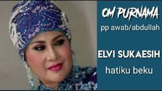 Download lagu ELVI SUKAESIH - Hatiku Beku mp3 Download lagu ELVI SUKAESIH - Hatiku Beku mp3