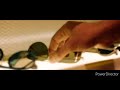 Varudu Kaavalenu Whatsapp Status Happy Birthday Naga Shaurya