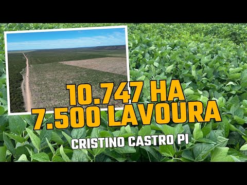 Fazendão no Asfalto, 10km da cidade de Cristino Castro PI,