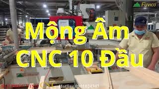 Mộng âm cnc 10 đầu bàn dài 3200mm cho hàng thẳng và dài xuất khẩu Woodmaster WM-5x2CNC.