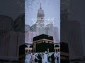 Mashallah Cute Hafiz E Quran Zobii X7796