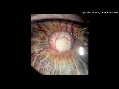 aphextwin/bjork/experimental type beat 'aphex' @m1qqla