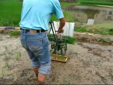 Mesin-mesin pertanian untuk menanam padi di sawah 