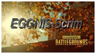 11/21 【PUBG】EGGNIS-Scrim　Cグループ（5分ディレイ）