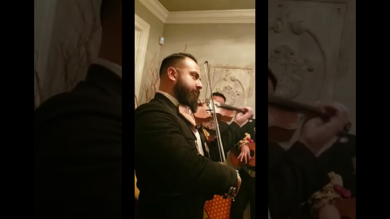 Promotional video thumbnail 12 for Mariachi Hidalgo NYC