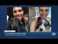 Woman searching for lost dogs after leaving them with pet sitter