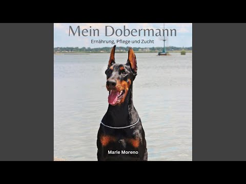 Kapitel 05 - Mein Dobermann