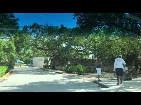 Restaurants   Akumal Playa