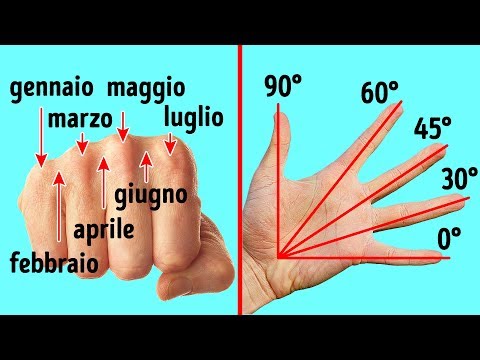 Acquistare bendaggio elastico sul ginocchio Come funziona il corpo delle articolazioni e dei muscoli della colonna vertebrale book scaricare