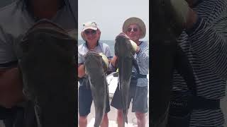 Hôtel Kasa Afrikana