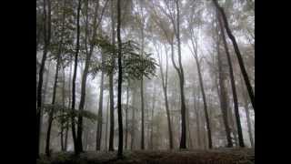 Pan's Labyrinth Piano und Geige