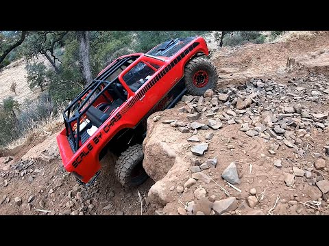 Scale By Chris at the Amain Fall Crawl