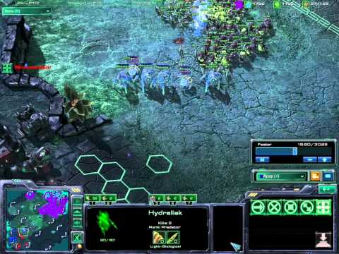 Banelings Push + Wall (720p)