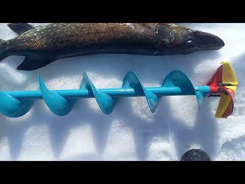 Iso hauki pilkillä 3 kg.🇫🇮