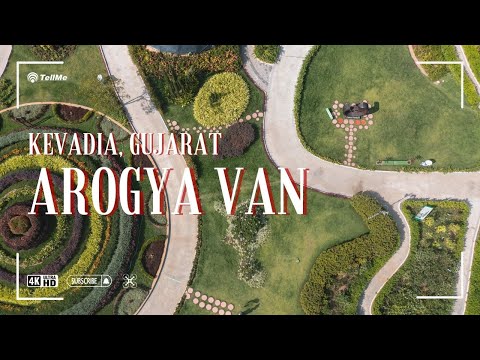 Exploring Arogya Van: A Wellness Retreat in Kevadia I Gujarat