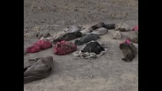 Suffering in Silence (English)