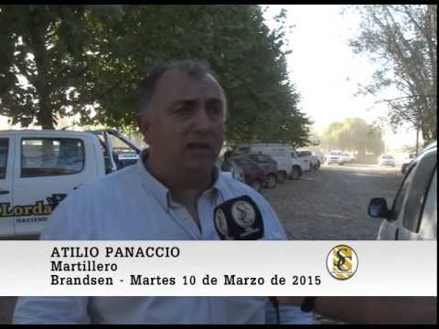 Nota Atilio Panaccio - Jauregui Lorda - Brandsen - 10-03-2015