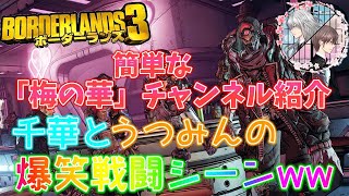 『梅の華』千華とうつみんの爆笑戦闘シーン!!【ボーダーランズ3 ラスボス戦】
