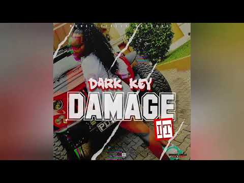 Dark Key (Damage It) #steam #trini