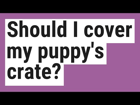 YouTube video about: Should I cover my dog's crate?