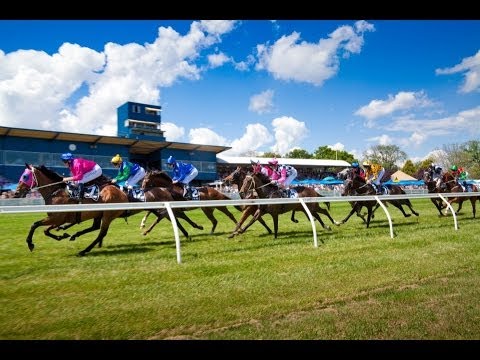 1991 BTC Ballarat Cup Day _ Race 5