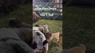 The Barn Dance Tom T Hall baby goats