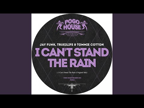 I Can't Stand The Rain
