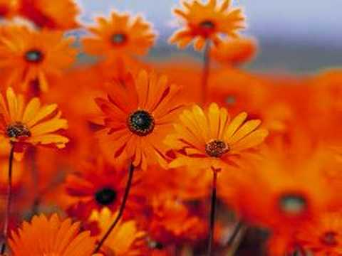 Greg Hatwell, Marc Lane - Be One(millenium bank commercial)