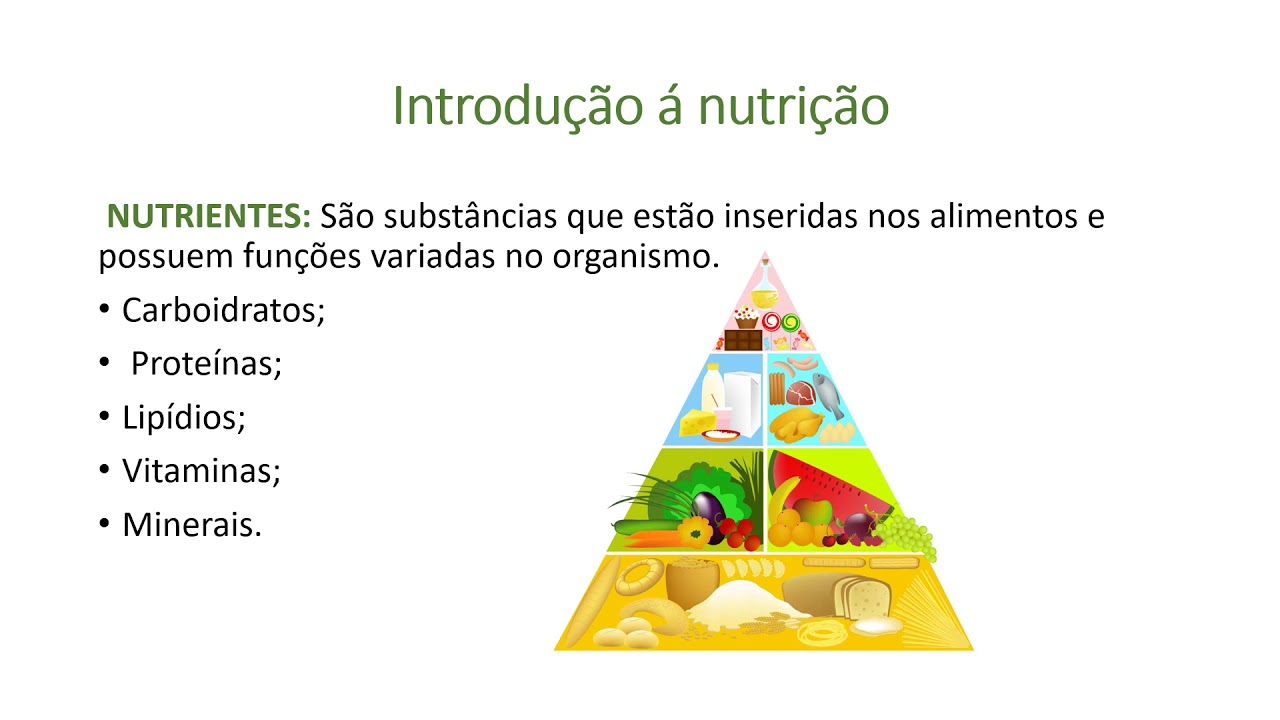Nutrição- aula de introdução