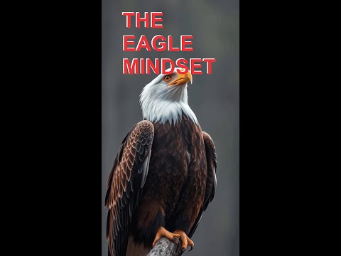 Unleash Your Inner Eagle: 7 Life-Changing Lessons (Animated Motivation)