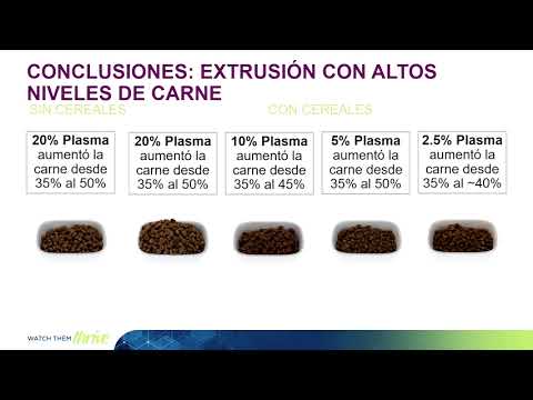 APC - Dr. Javier Polo - CLANA 2022: El plasma permite niveles más altos de inclusión de carne